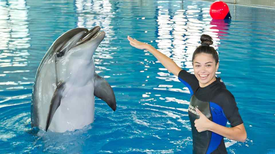 Embark on a 30-minute dolphin interaction at Dubai Dolphinarium for a deep-water experience, interacting with magnificent creatures.