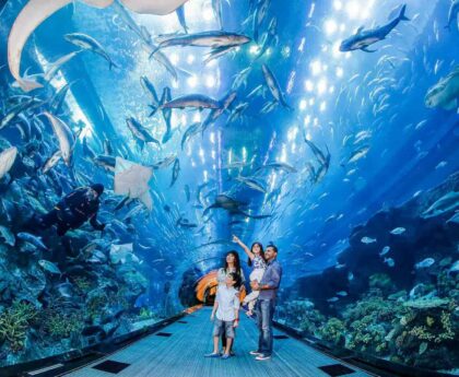 In this article, you will learn the best ways to get Dubai aquarium and underwater zoo tickets at the lowest price.