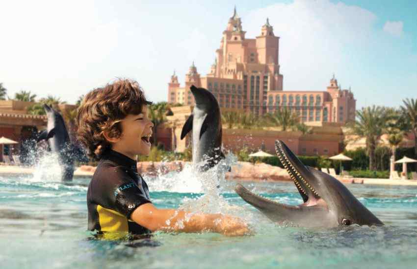 Book your Dubai Dolphinarium ticket for the next family trip, providing a unique chance to swim and interact with dolphins at Dubai Creek Park—an unforgettable experience for animal lovers and thrill-seekers.