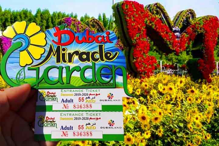 You can get the Dubai Miracle Garden tickets from the gate at Street 3—Al Barsha—Al Barsha South—Dubai.