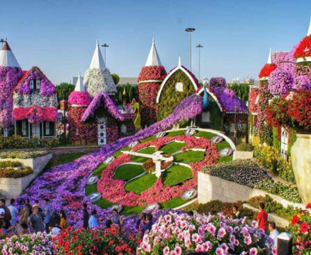 Dubai's miracle garden is one of the best artificial wonders. Here, you will learn how to get a Dubai Miracle Garden ticket at a low cost.