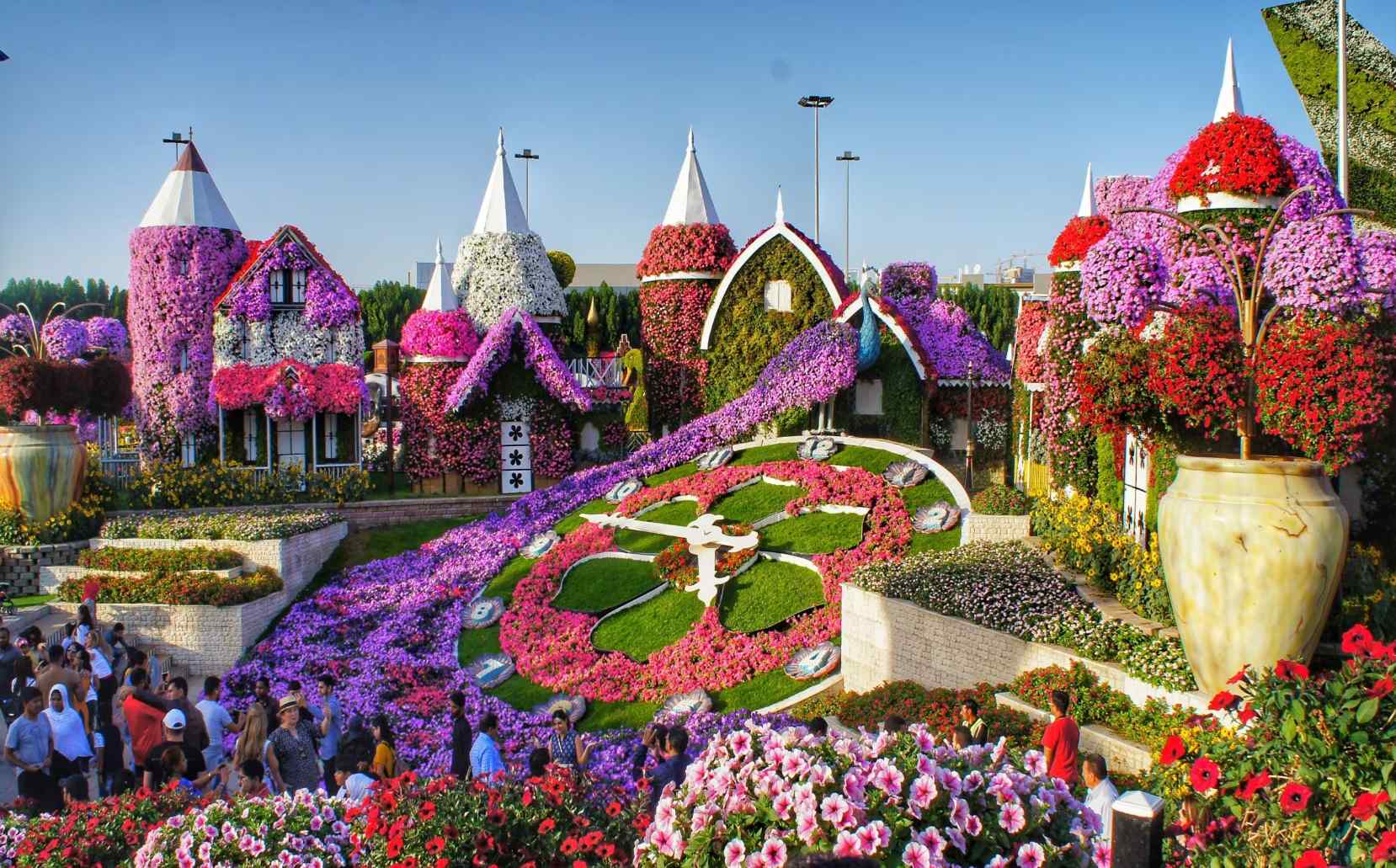 Dubai's miracle garden is one of the best artificial wonders. Here, you will learn how to get a Dubai Miracle Garden ticket at a low cost.