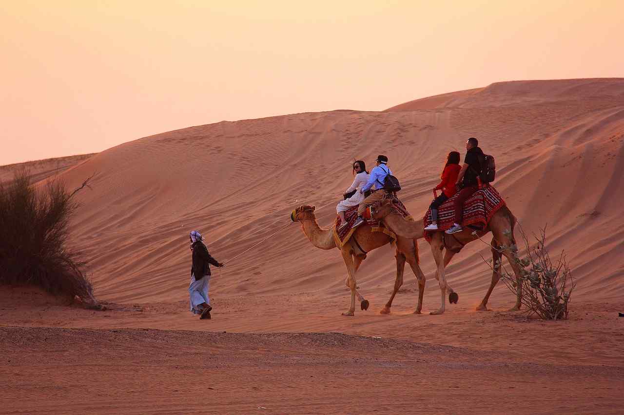 Riding a camel feels like traveling on a royal ship across sandy seas.