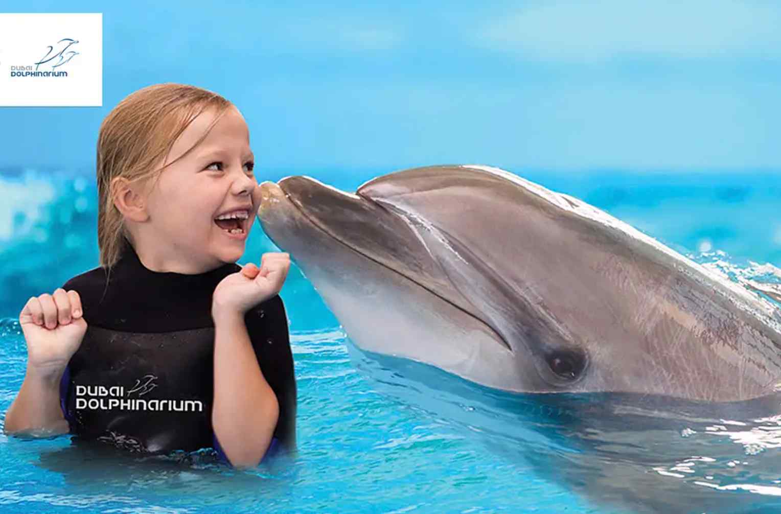Embark on a distinctive adventure and interact closely with our playful dolphins.
