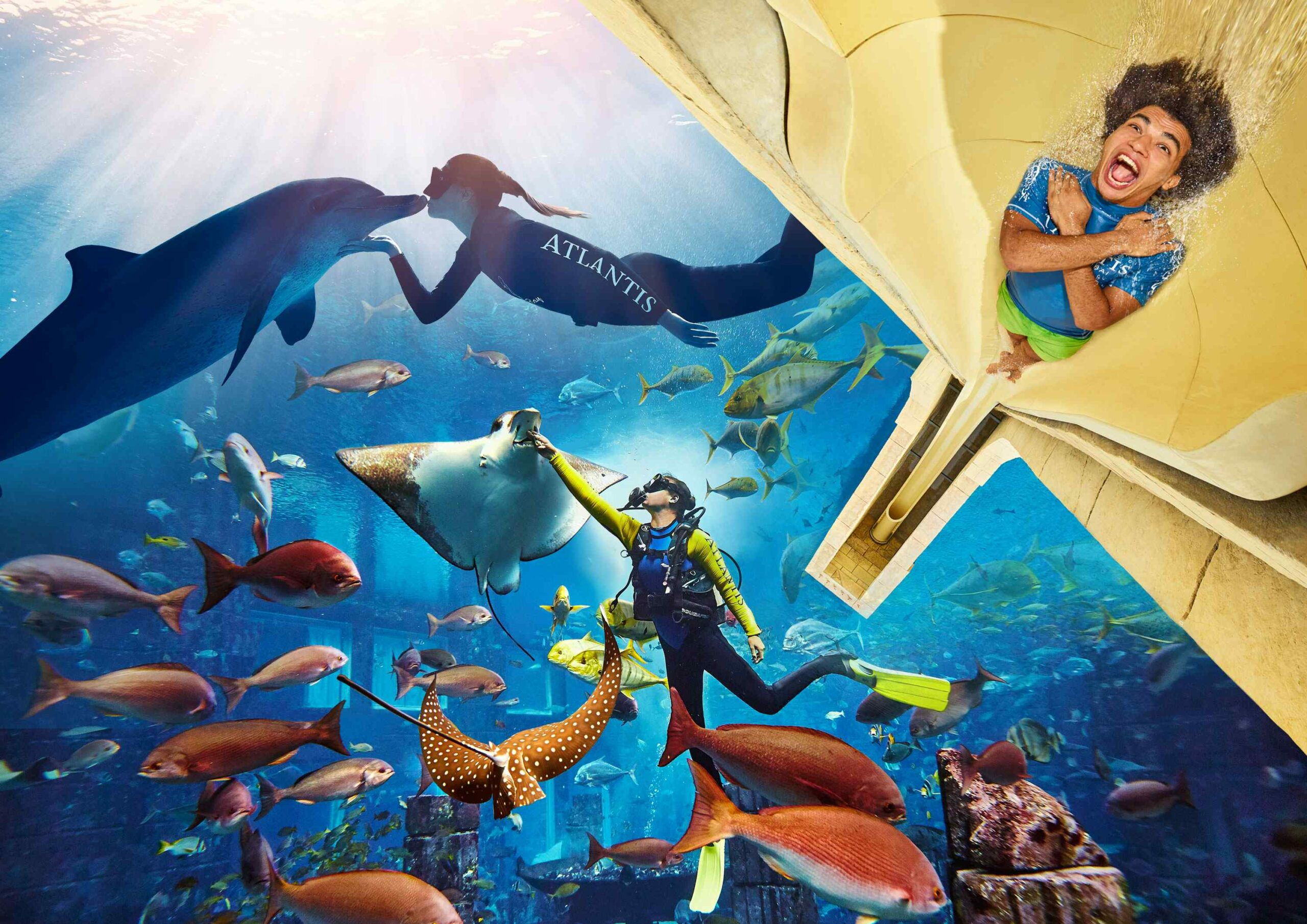 The Lost Chambers Aquarium dives into an oceanic adventure at Dolphin Bay in Atlas Village, where the water realm reigns supreme.