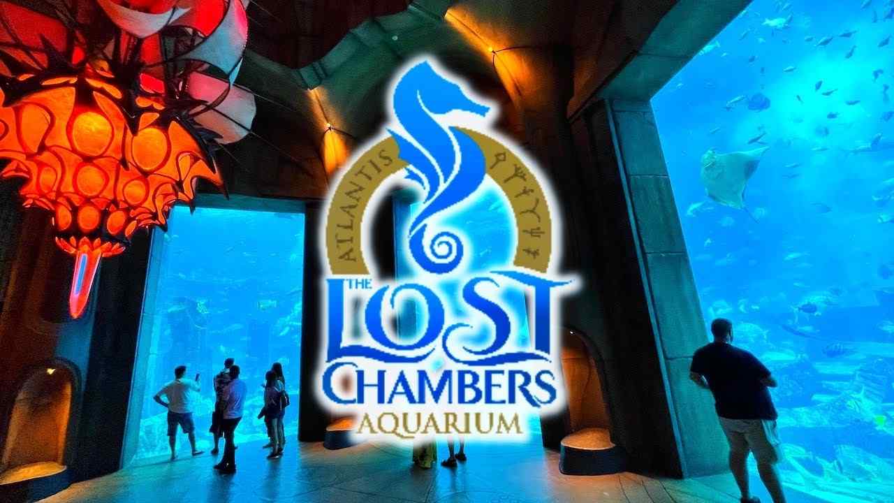 Visiting the Lost Chambers Aquarium at Atlantis and The Palm in Dubai is fabulous.